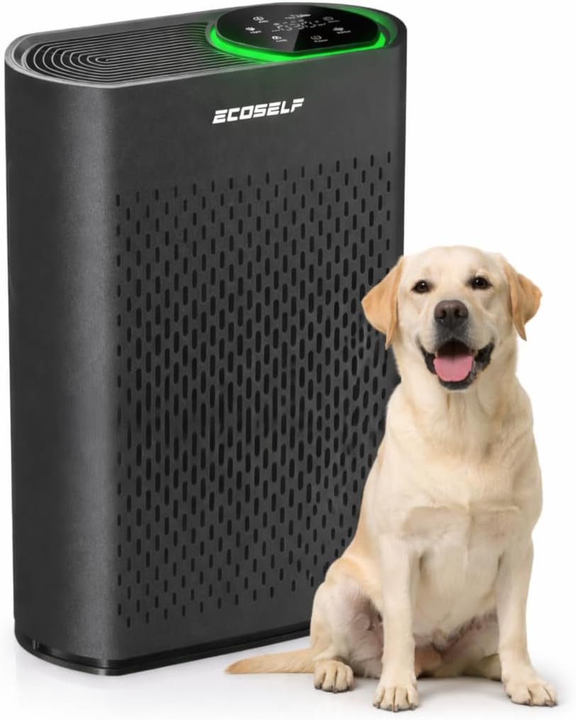 Air Purifier, Large Touch Display Control, Real-Time Air Quality 30 Mins Air Purifiers for Home