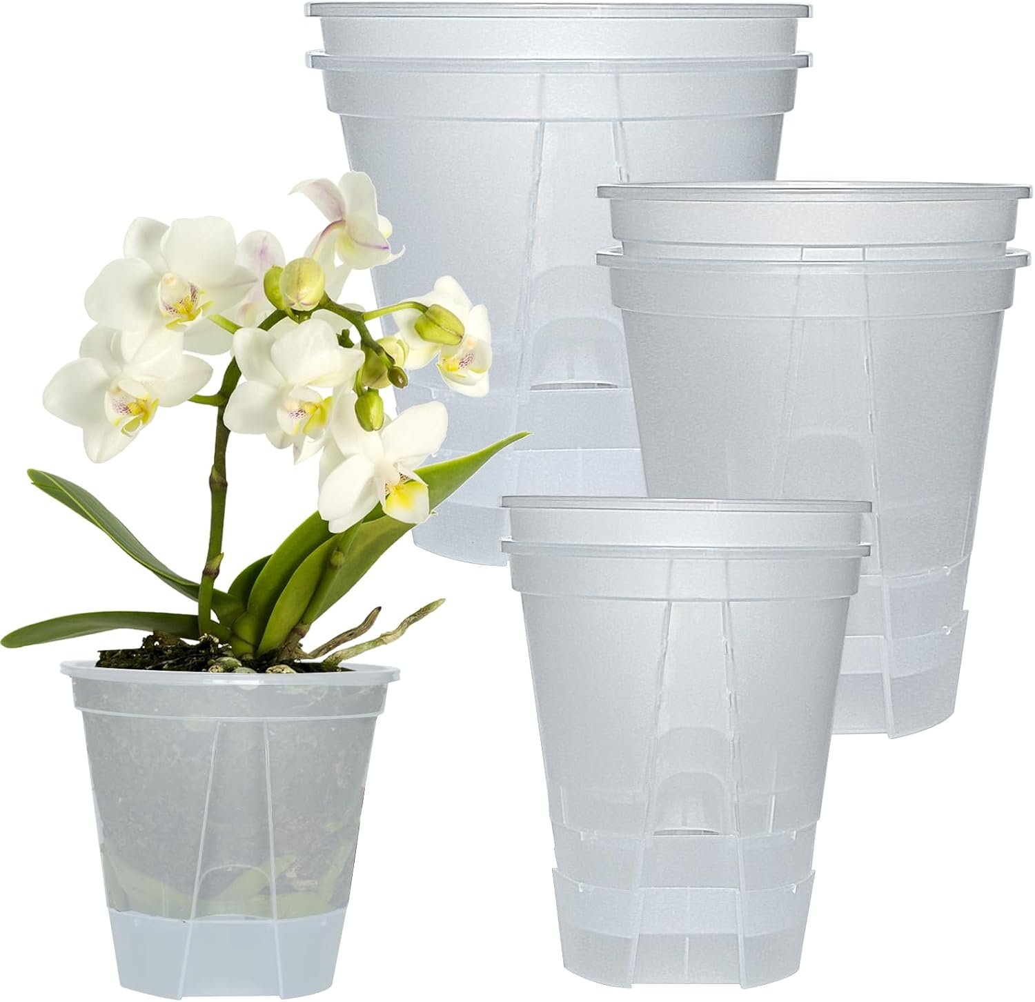 Cdd’s Path 6-Pack Bare Root Planter Self Watering Pots Set with Holes for Indoor/Outdoor Plants, 2 Each of 5, 6 and 7 Inch Planter Pot with Watering Hole/Reservoir and Air Pipes, Clear