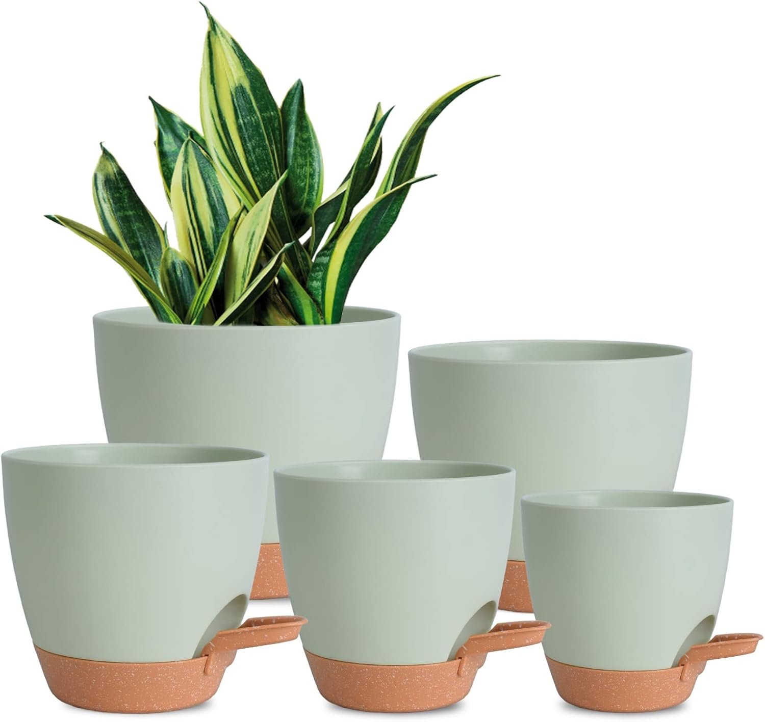 Vanslogreen Plant Pots Indoor 7/6.5/6/5.5/5 Inch Self Watering Planters for Indoor Plants with Drainage Hole, Plastic Flower Pots for Succulents, African Violet (Green)