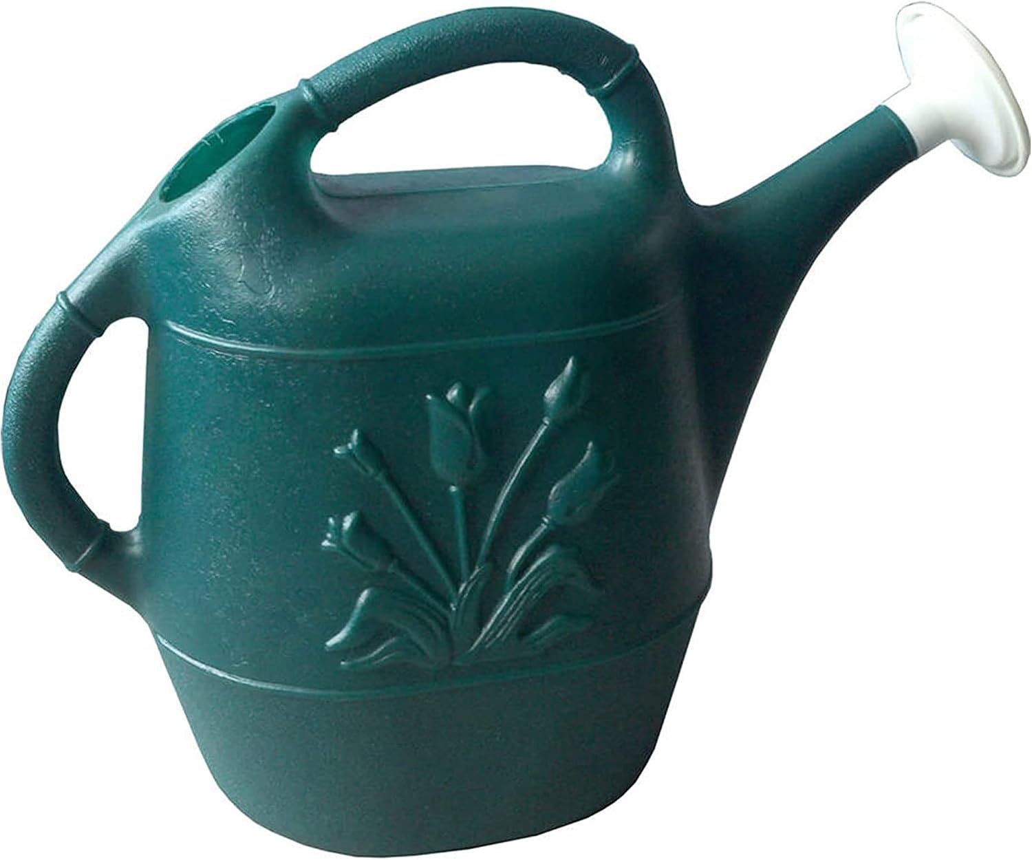 Union Products Watering Can, 2 Gallon Plastic Gardening Water Jug with 2 Handles for Garden, Indoor Plants, and Outdoor Flower Pots, Green