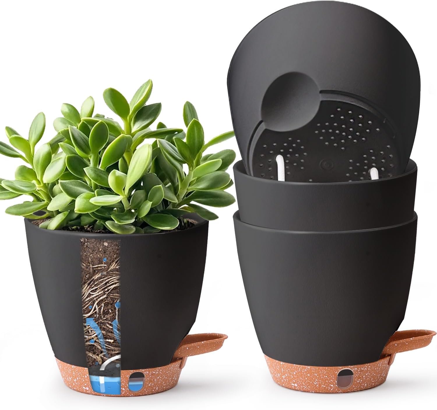 T4U 6 Inch Self Watering Pots for Indoor Plants – Mess-Free Bottom Watering Planter for Herbs/Pothos/Succulent Plants, Indoor Outdoor Use (Black, 4 Pack)
