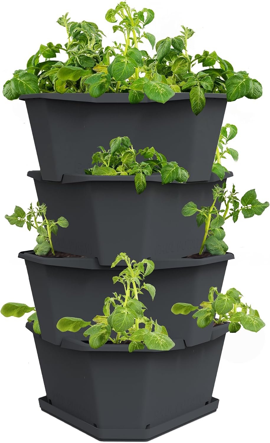 BUZZY Seeds Starter Stackable Vertical Planter – 4-Level Raised Garden Tower for Potatoes, Strawberries, Vegetables & Flowers (Gray)