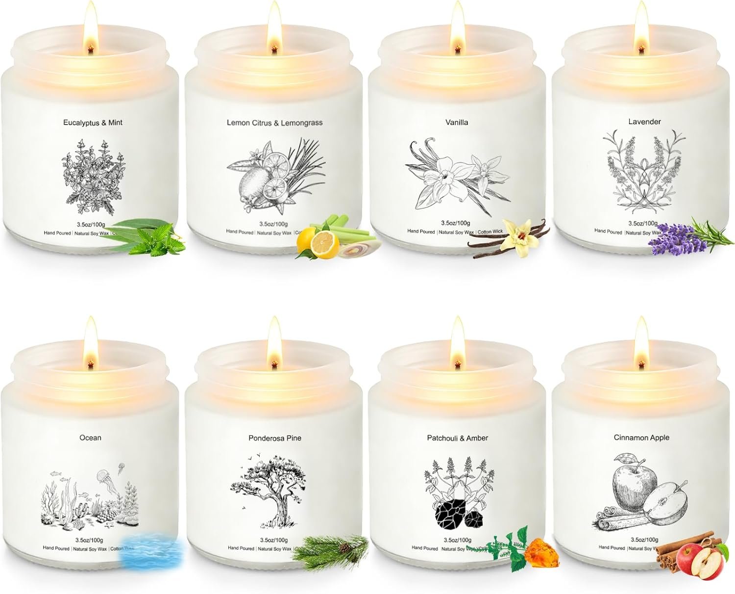 Scented Candles for Home, 8 Pack Soy Wax Gift Set for Women, Aromatherapy Candles, Lavender, Vanilla, Eucalyptus Mint, Ocean