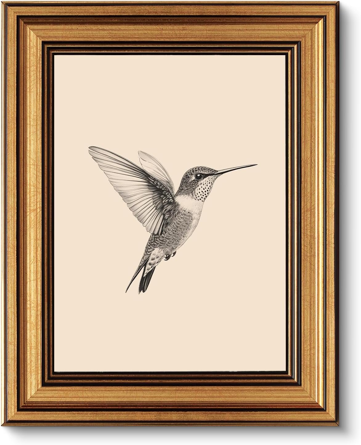 VIYYIEA Vintage Gold Framed Wall Art, Sketch Birds Canvas Painting, Cute but Exquisite Wall Decor, No Glass No Glare, Suitable for Bedside Tables, Foyer, Bookshelves,【Hummingbird】-10L x 8W