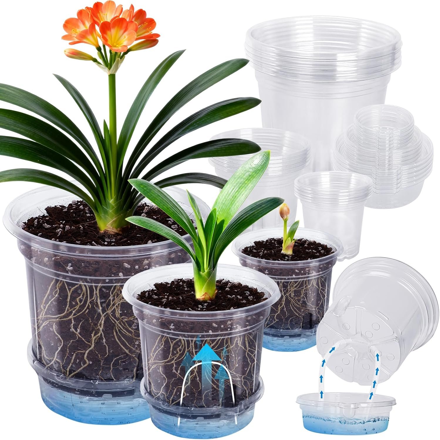 MIXC 18 Packs 6.5/5/4 Inch Self Watering Pots for Indoor Plants – Clear Nursery Plant Pots with Drainage, Deep Visible Reservoir – Flower Planter Outdoor with Wicking Rope