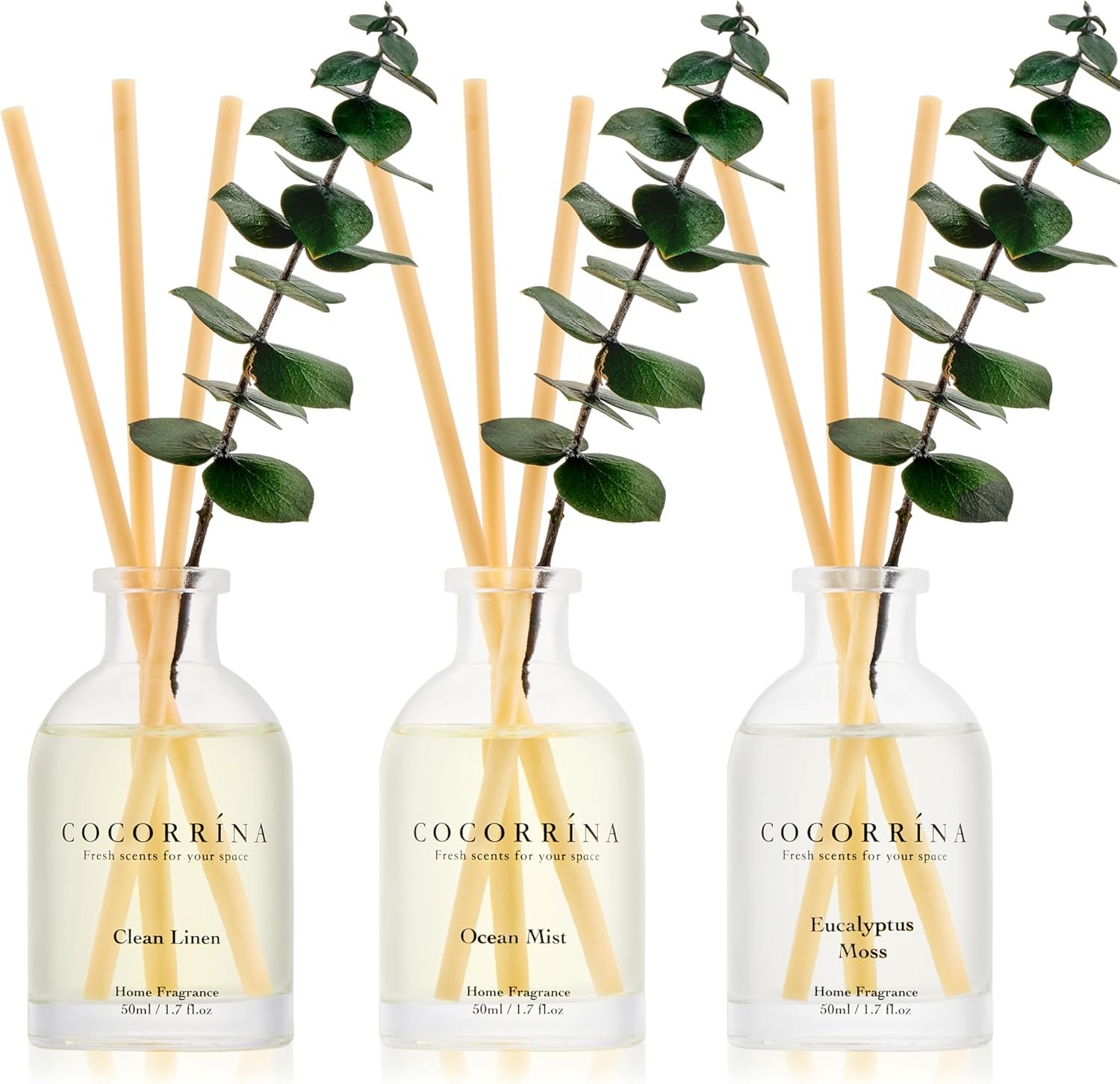 COCORRÍNA Eucalyptus Reed Diffuser Set of 3 – Eucalyptus & Moss, Clean Linen, Ocean Mist Scents, 1.7 fl oz Each, Total 5.1 oz, Scented Oil Diffusers for Home & Office