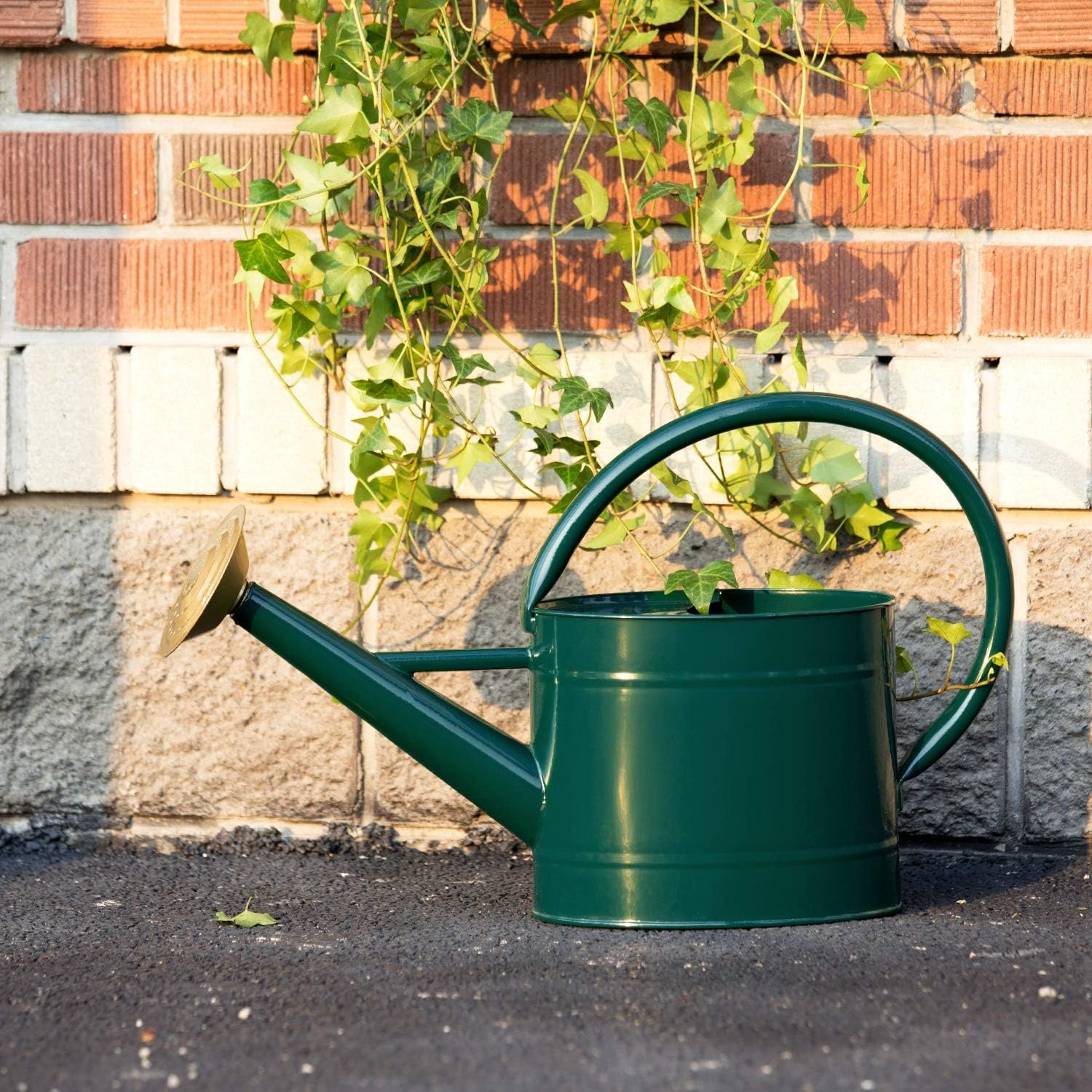 1.3 Gal Watering Can, Metal Watering Can with Removable Spout, Galvanized Water Can, Nice Plant Water Can for Indoor and Outdoor Use